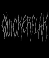 QUICKERFLAK (Steam)