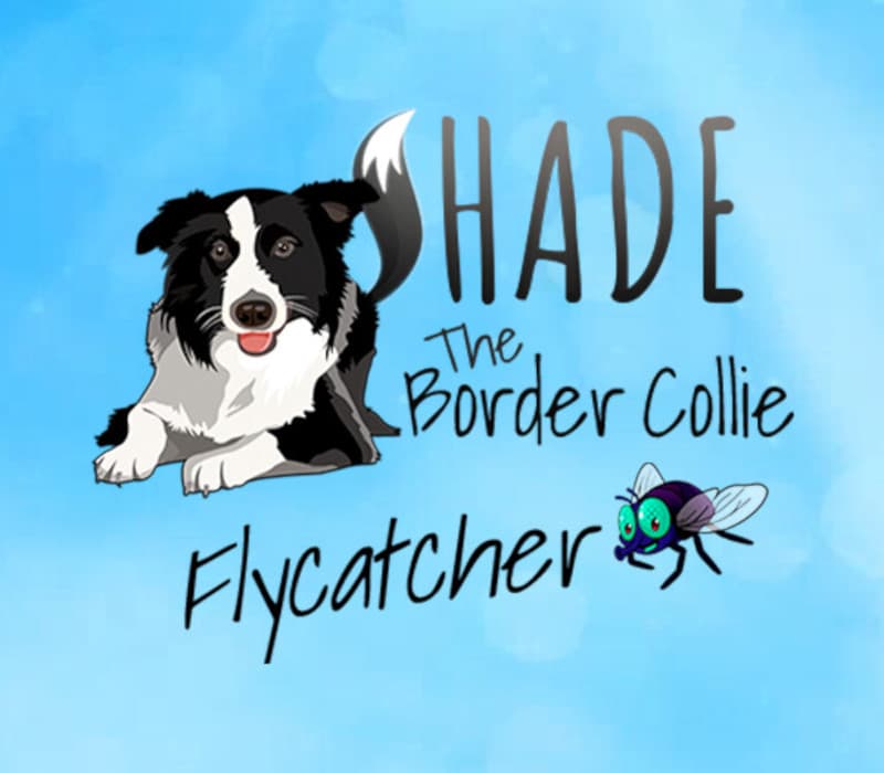 SHADE The Border Collie Flycatcher PC Steam CD Key